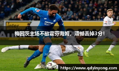 梅因茨主场不敌霍芬海姆，遗憾丢掉3分！
