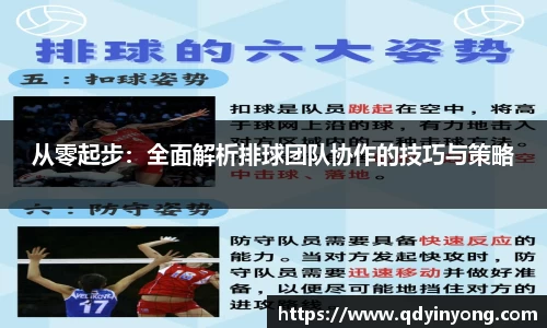 从零起步：全面解析排球团队协作的技巧与策略