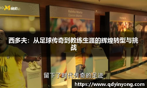 西多夫：从足球传奇到教练生涯的辉煌转型与挑战