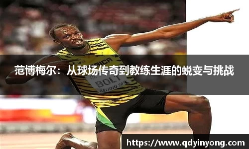 范博梅尔：从球场传奇到教练生涯的蜕变与挑战