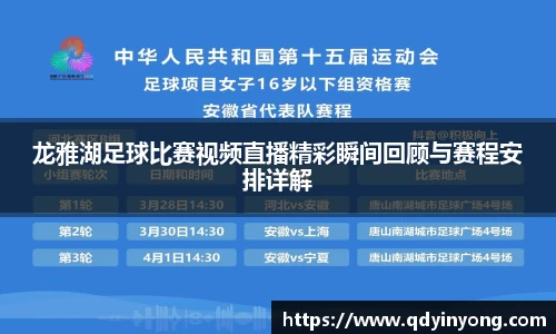 龙雅湖足球比赛视频直播精彩瞬间回顾与赛程安排详解